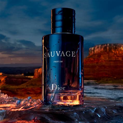 dior sauvage oil|sauvage dior parfum for men.